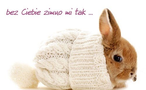 Króliczek w czapeczce zimno mi